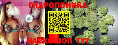 прущие грибы Железногорск