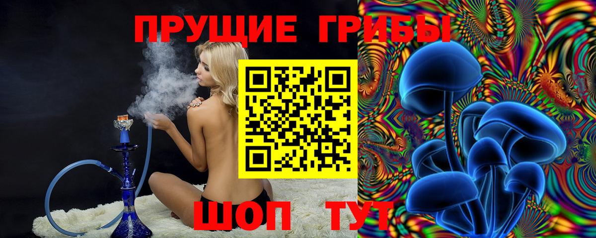 Псилоцибиновые грибы GOLDEN TEACHER  Псилоцибиновые грибы GOLDEN TEACHER  Вход с VPN  Трёхгорный 